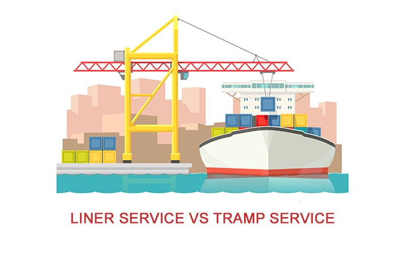 lINER SERVICE VS TRAMP SERVICES