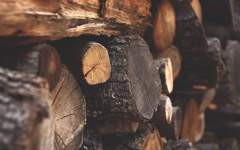 thủ tục xuất khẩu gỗ ra nước ngoài mới nhất